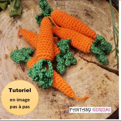 tutoriel carotte
